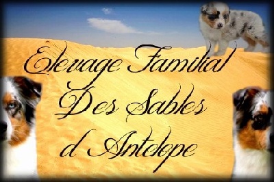 Des Sables D'Antelope